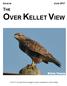 ISSUE 98 JUNE 2017 THE OVER KELLET VIEW. Price 1.00 (but free of charge to every household in Over Kellet)