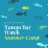 Tampa Bay Watch Summer Camp