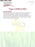 Tiger CAMPus REC WELCOME CAMPERS!