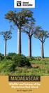 BAOBAB TREES MADAGASCAR. Wildlife and Botany of the Mysterious Red Island