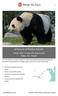 In Pursuit of Pandas Dossier