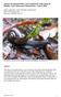 Impacts of mountain bikers on Powelliphanta snails along the Heaphy Track, Kahurangi National Park Season 2014