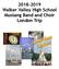 Walker Valley High School Mustang Band and Choir London Trip