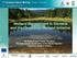 Wetland Management in Slovakia and the Carpathian Wetland Initiative