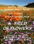 SOUTH AFRICA. 28 th AUGUST 5 th SEPTEMBER 2018 A FIELD OF FLOWERS. Witnessing one of the