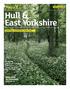 Hull & East Yorkshire
