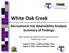 White Oak Creek. Recreational Use Attainability Analysis Summary of Findings. Texas Institute for Applied Environmental Research Stephenville, Texas