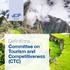 Definitions Committee on Tourism and Competitiveness (CTC)