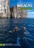 wildlife discovery 5 DAYS GALAPAGOS ESSENTIAL