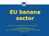 EU banana sector Sarolta IDEI / Daniel VANDERELST / Lucie ZOLICHOVA