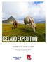 ICELAND EXPEDITION JOURNEYS FOR YOUNG ALUMNI. JUNE 27 (land tour start date) - 30, 2019 Land package from $1,475 per person