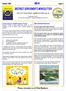 DISTRICT GOVERNOR S NEWSLETTER