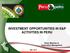 INVESTMENT OPPORTUNITIES IN E&P ACTIVITIES IN PERU. Elmer Martinez G. Exploration Management