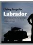 Labrador. Living large in