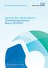 National Peer Review Report: Chemotherapy Services Report 2012/2013