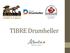 OVERVIEW. TIBRE Project Initiative The Tourism Industry Tourism in Drumheller Results