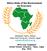 Africa State of the Environment An Overview. Mohamed Tawfic Ahmed Suez Canal University, Ismailia, Egypt