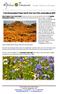7 Day Namaqualand Flower Bus & Train Tour from Johannesburg 2018