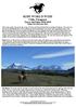 RIDE WORLD WIDE. Chile, Patagonia. Torres del Paine Riding Trip Information Sheet