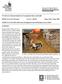 FROM: Iowa FACE Program Case No. 04IA59 Report Date: 8 June SUBJECT: 45-Year-Old Cattle Farmer Entangled in Exposed Rotating Conveyor Shaft
