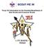 Troop 351 Information for the Parent(s)/Guardian(s) of New Scouts and Crossover Scouts