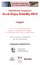 Rock Slope Stability 2018