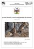 Status Report Lions of the Kavango and Zambezi Regions