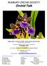 BUNBURY ORCHID SOCIETY. Orchid Talk. Judge s Award & Popular Vote OPEN October meeting Zygo Black Magic Grown by Warren Cruickshank