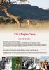 The Okonjima Story OUR STORY IN SHORT