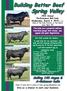 Spring Valley. Building Better Beef. Selling 140 Angus & A+Balancer bulls. Give us a chance to earn your business