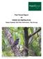 Pied Thrush Report on Habitat and Sighting Areas Seejan Gyawali, Nils Peter Siemonsen, Raj Gurung