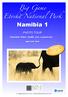 Namibia 1 PHOTO TOUR. Elephants, Rhino, Giraffe, Lion, Leopard and... April 17/27, 2016