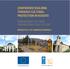 CONFIDENCE BUILDING THROUGH CULTURAL PROTECTION IN KOSOVO
