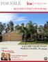 FOR SALE BEAUTIFUL EXECUTIVE HOME COMMUNITY OF SEVEN OAKS 2741 LAKE VALLEY PLACE WESLEY CHAPEL, FL Tricia and Chris Argabrite