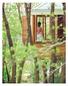 Relax and rejuvenate in a treetop cabin at the Lake House s Salus Day Spa in Victoria. 046 VIRGINBLUE