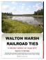 WALTON MARSH RAILROAD TIES