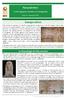 Inaugurations. Newsletter. Archaeological Discoveries. of the Egyptian Ministry of Antiquities. Issue 28 * september 2018
