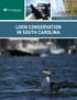 LOON CONSERVATION IN SOUTH CAROLINA EARTHWATCH 2019