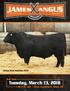 James Final Solution Bull Sale. Tuesday, March 13, :00 P.M. cdt Alma Livestock, Alma, NE