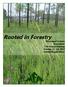 Rooted in Forestry Mississippi Forestry Association. 77th Annual Meeting October 22-24, 2014 Golden Nugget Biloxi